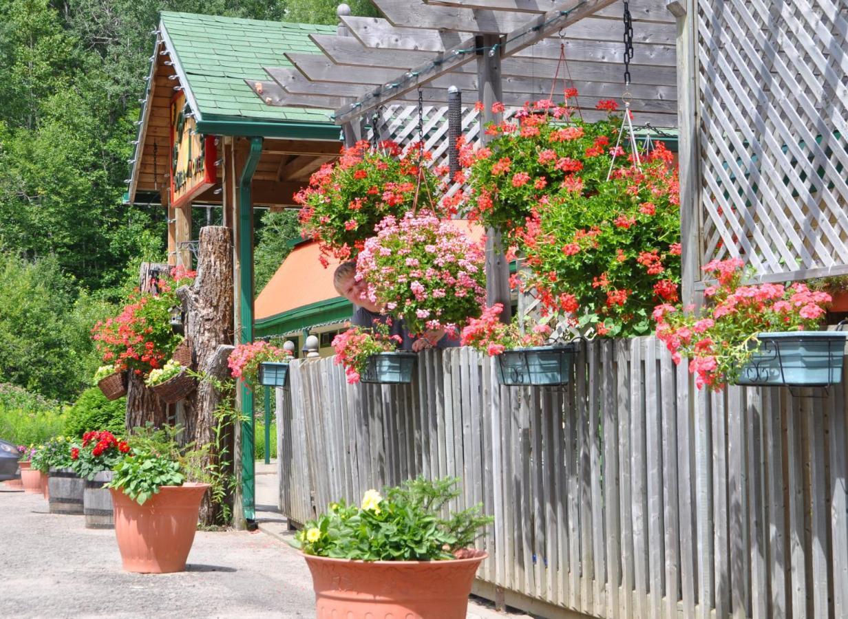 Le Boise Du Lac Mont-Tremblant Exterior photo